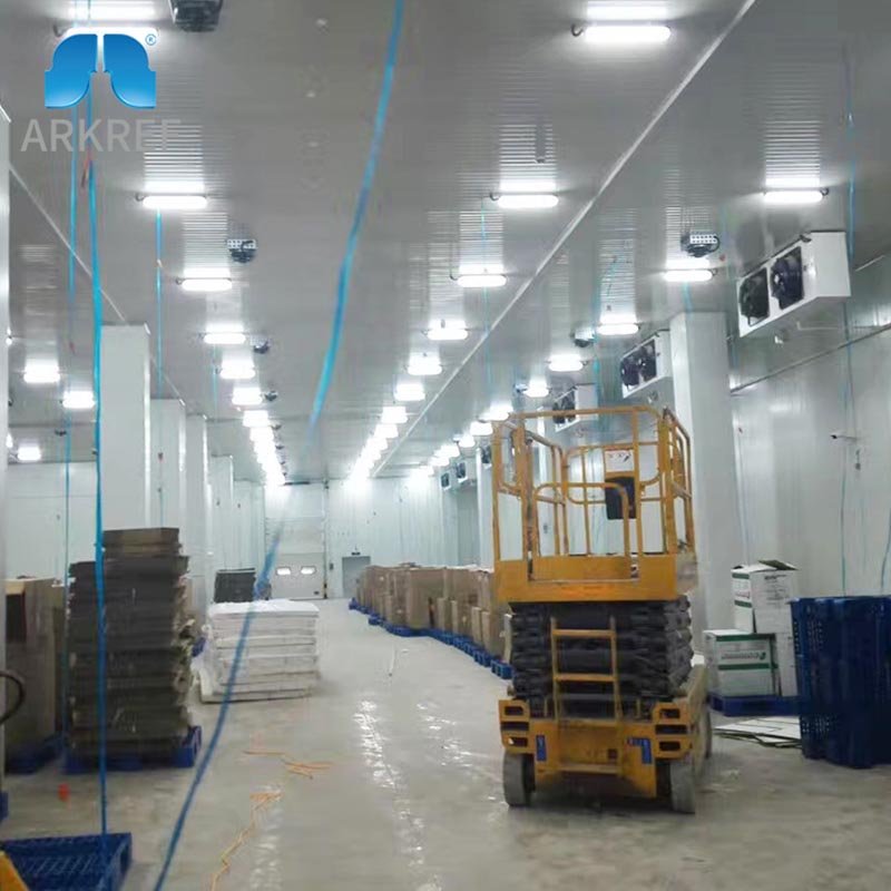 Cold Room StorageLogistic Cold RoomCold RoomCold Storage RoomCold