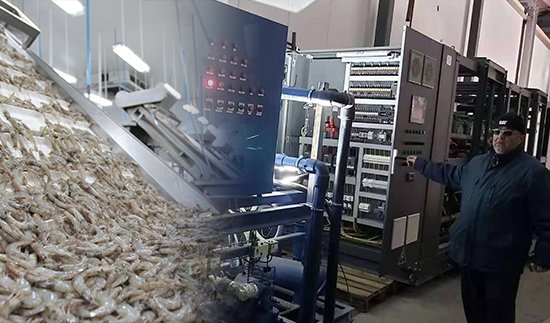 Transcritical CO2 Unit Project,Bulgaria