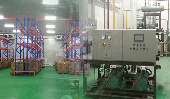 Dennis Department Store-Logistics Center Project