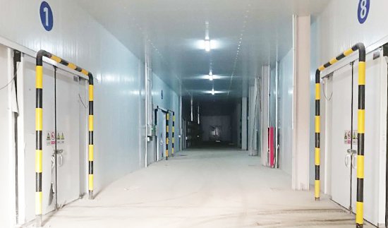 Jinwan Agricultural Products Wholesale Market