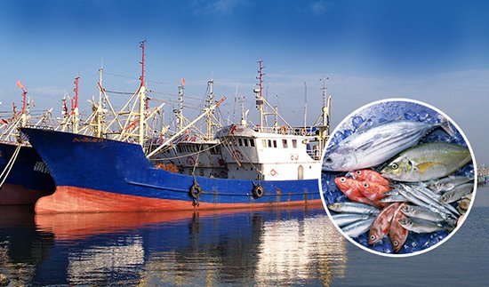 French Fishing Boat Project