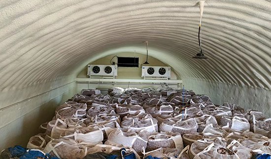 Potato Cold Room