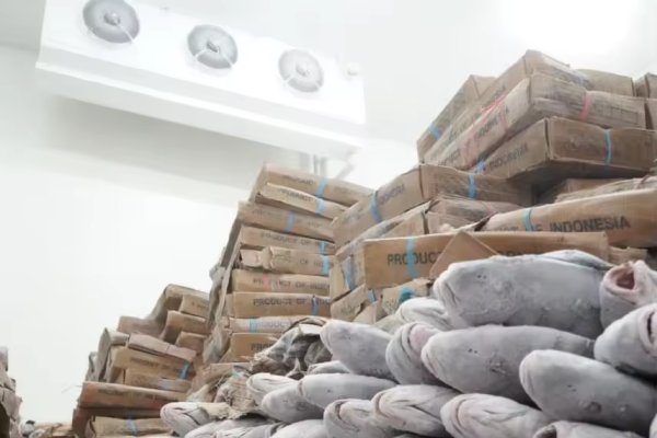 Application of Arkref cold storage in the logistics industry