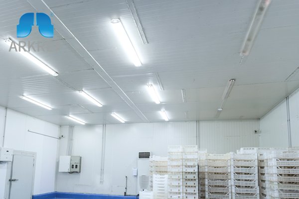 Cold Room or Freezer Room: Which Suits Your Needs?