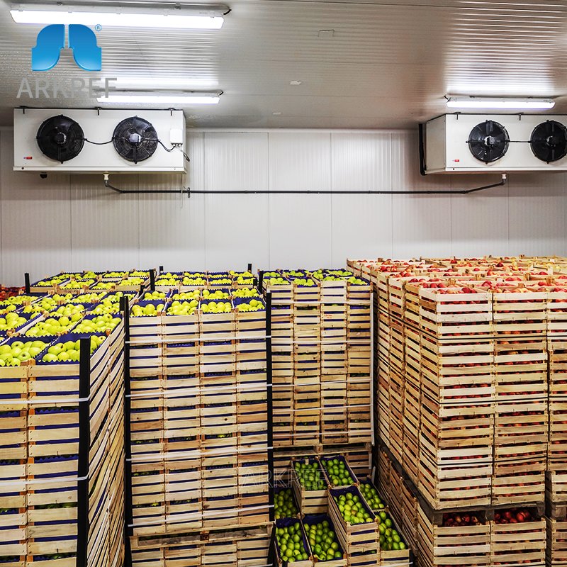 Fruit & vegetable cold storage